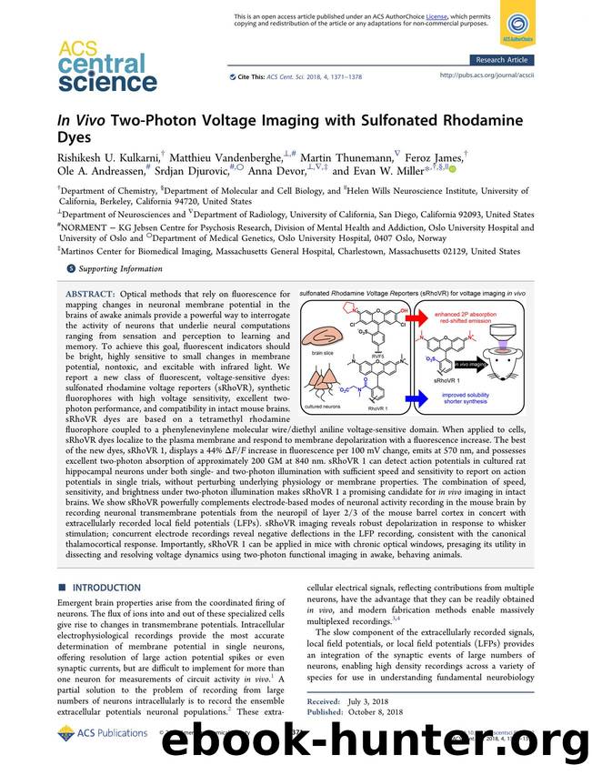 In Vivo Two-Photon Voltage Imaging with Sulfonated Rhodamine Dyes by unknow