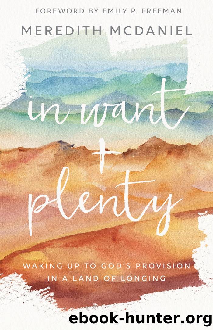 In Want + Plenty by Meredith McDaniel