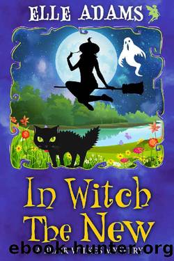 In Witch the New (A Blair Wilkes Mystery Book 12) by Elle Adams
