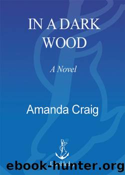 In a Dark Wood by Amanda Craig