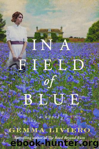 In a Field of Blue: A Novel by Liviero Gemma