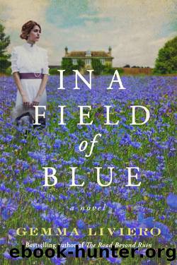 In a Field of Blue_A Novel by Gemma Liviero