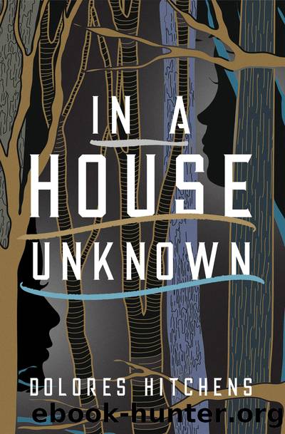 In a House Unknown by Dolores Hitchens