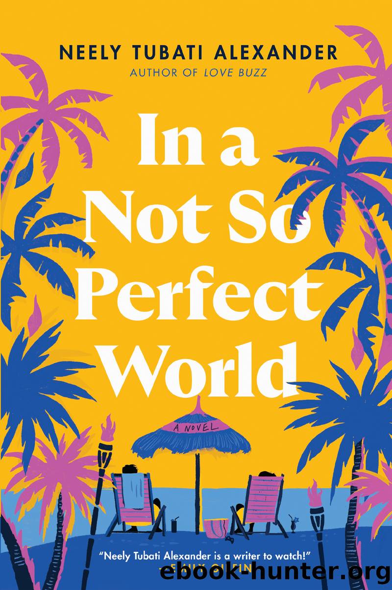 In a Not So Perfect World by Neely Tubati-Alexander