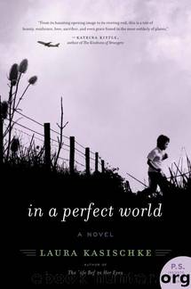 In a Perfect World A Novel by Laura Kasischke