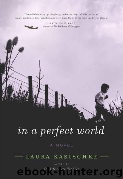 In a Perfect World by Kasischke Laura