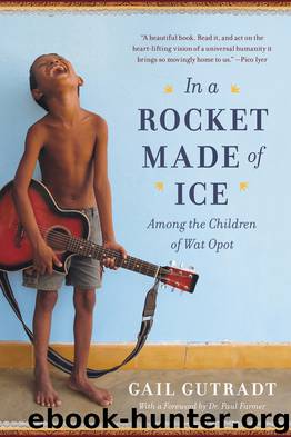 In a Rocket Made of Ice by Gail Gutradt