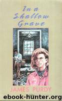In a Shallow Grave by James Purdy