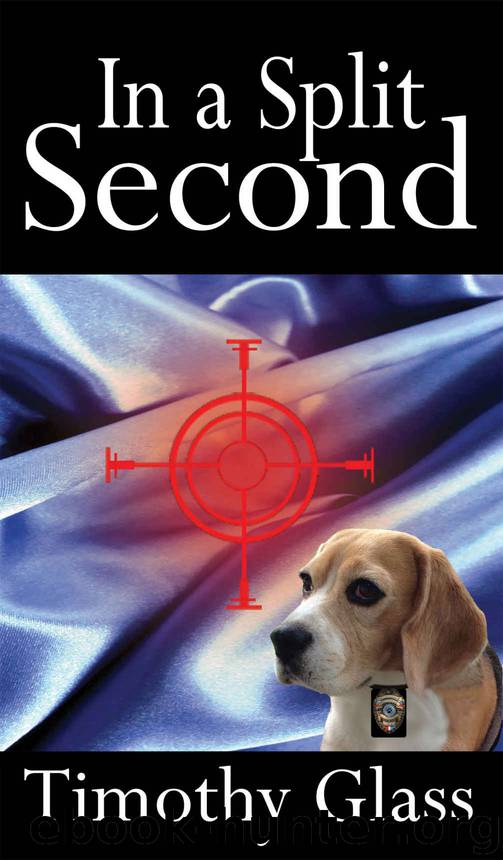In a Split Second by Timothy Glass