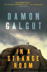 In a Strange Room: Three Journeys by Damon Galgut