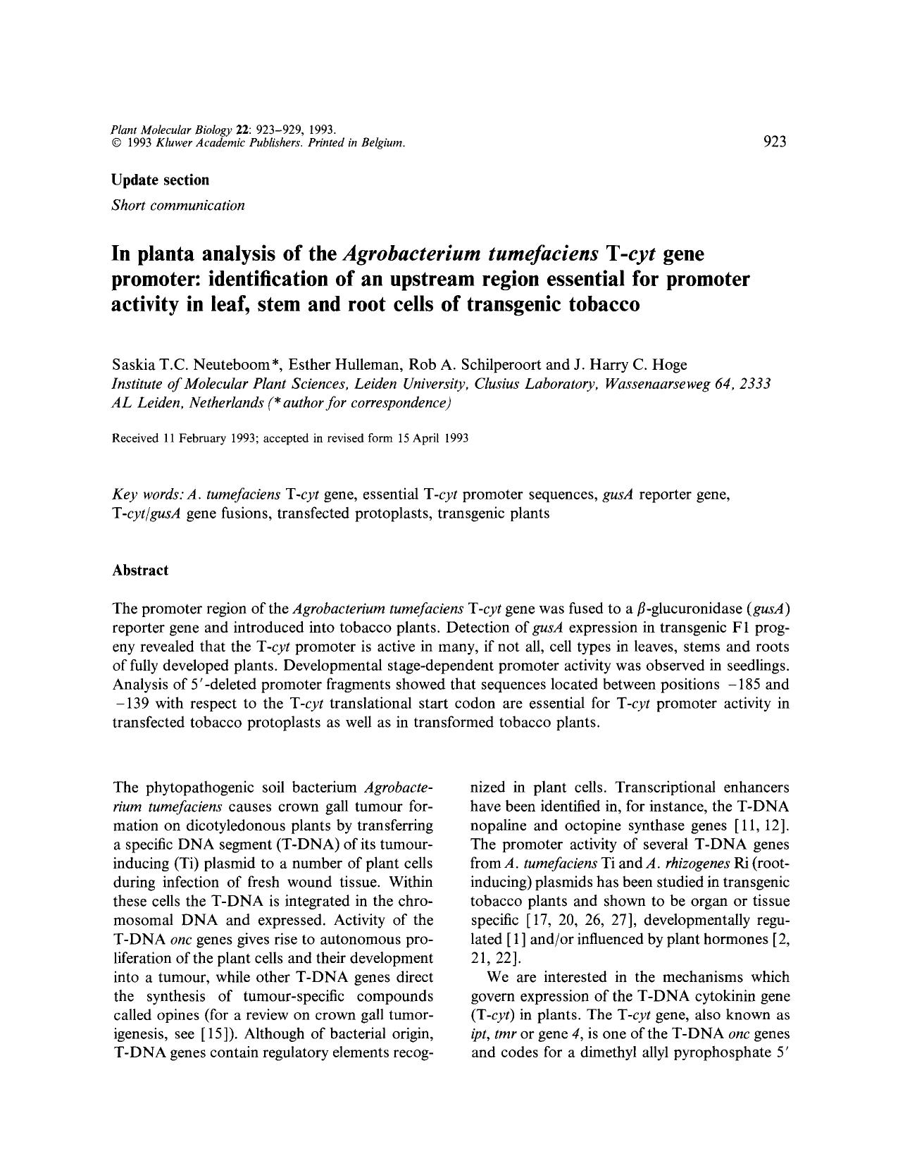 In planta analysis of the <Emphasis Type="Italic">Agrobacterium tumefaciens <Emphasis> T- <Emphasis Type="Italic">cyt <Emphasis> gene promoter: identification of an upstream regio by Unknown