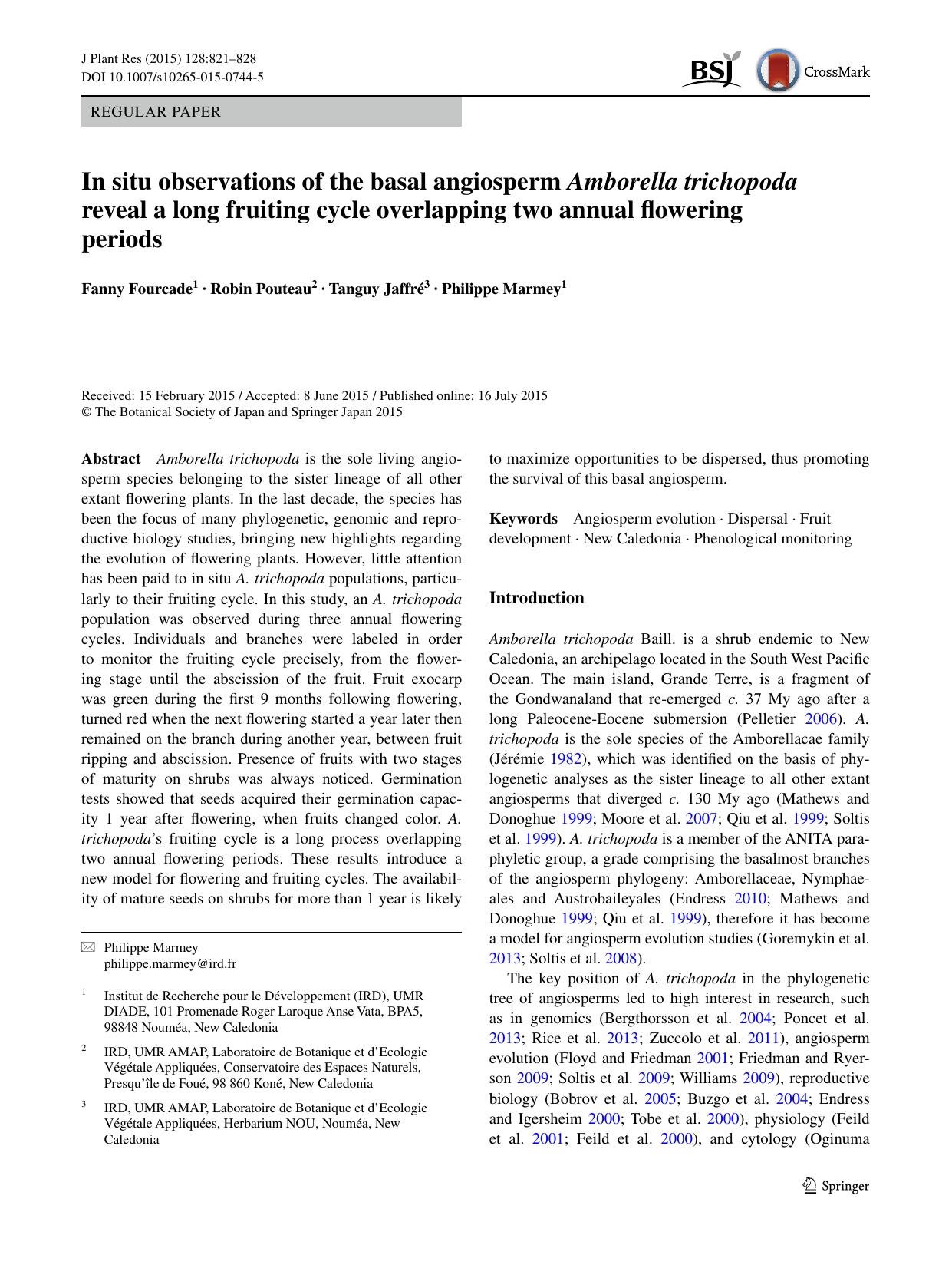 In situ observations of the basal angiosperm Amborella trichopoda reveal a long fruiting cycle overlapping two annual flowering periods by Fanny Fourcade & Robin Pouteau & Tanguy Jaffré & Philippe Marmey