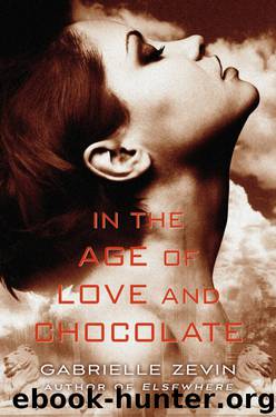 In the Age of Love and Chocolate by Gabrielle Zevin