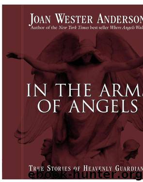 In the Arms of Angels: True Stories of Heavenly Guardians by Joan Wester Anderson