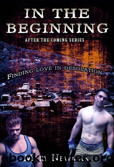 In the Beginning (After the Coming, #1) by Mary Newman