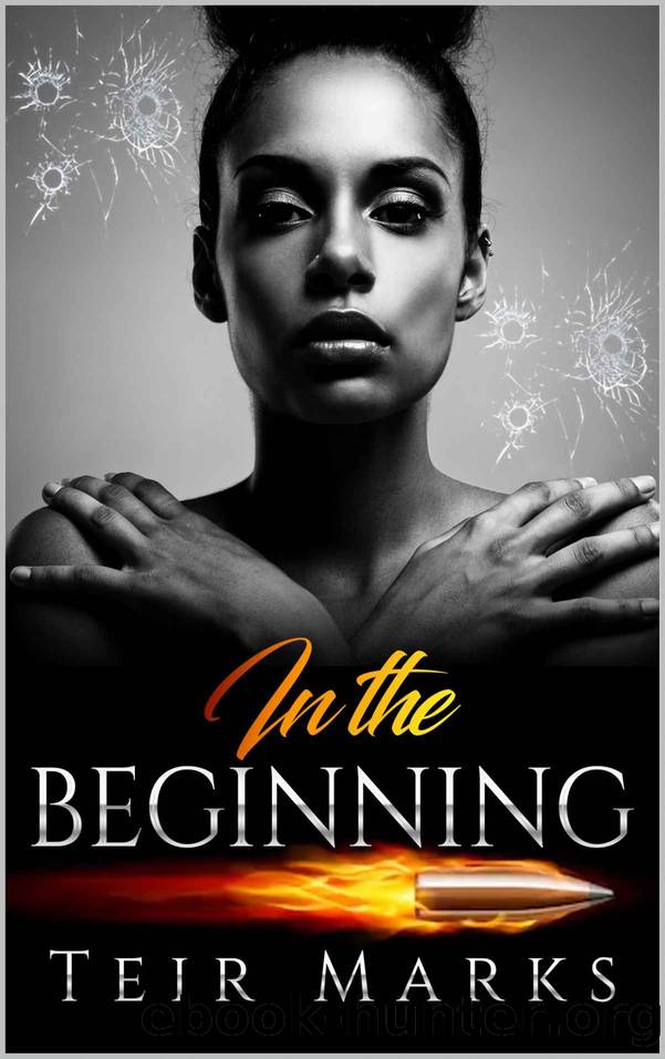 In the Beginning (The Family Series Book 2) by Teir Marks