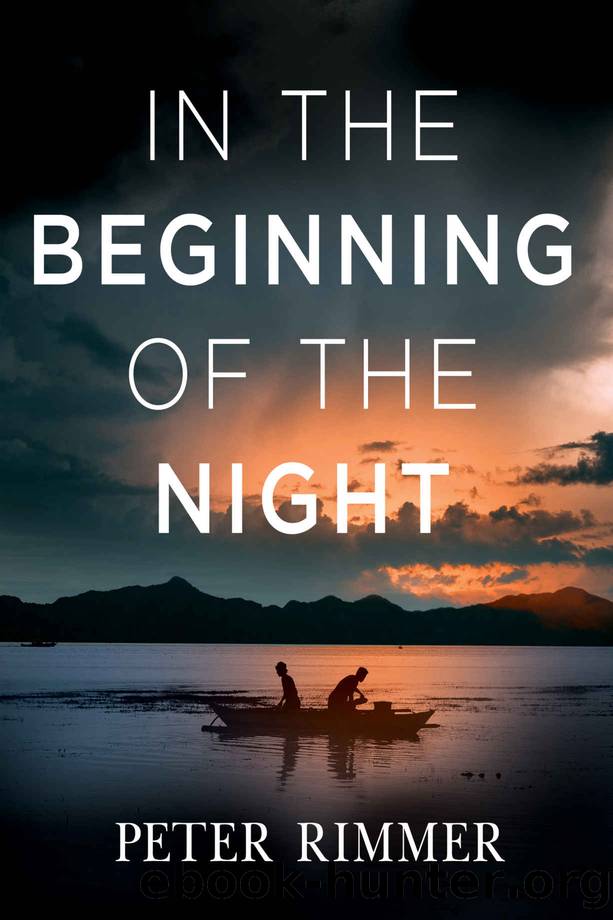 In the Beginning of the Night by Rimmer Peter