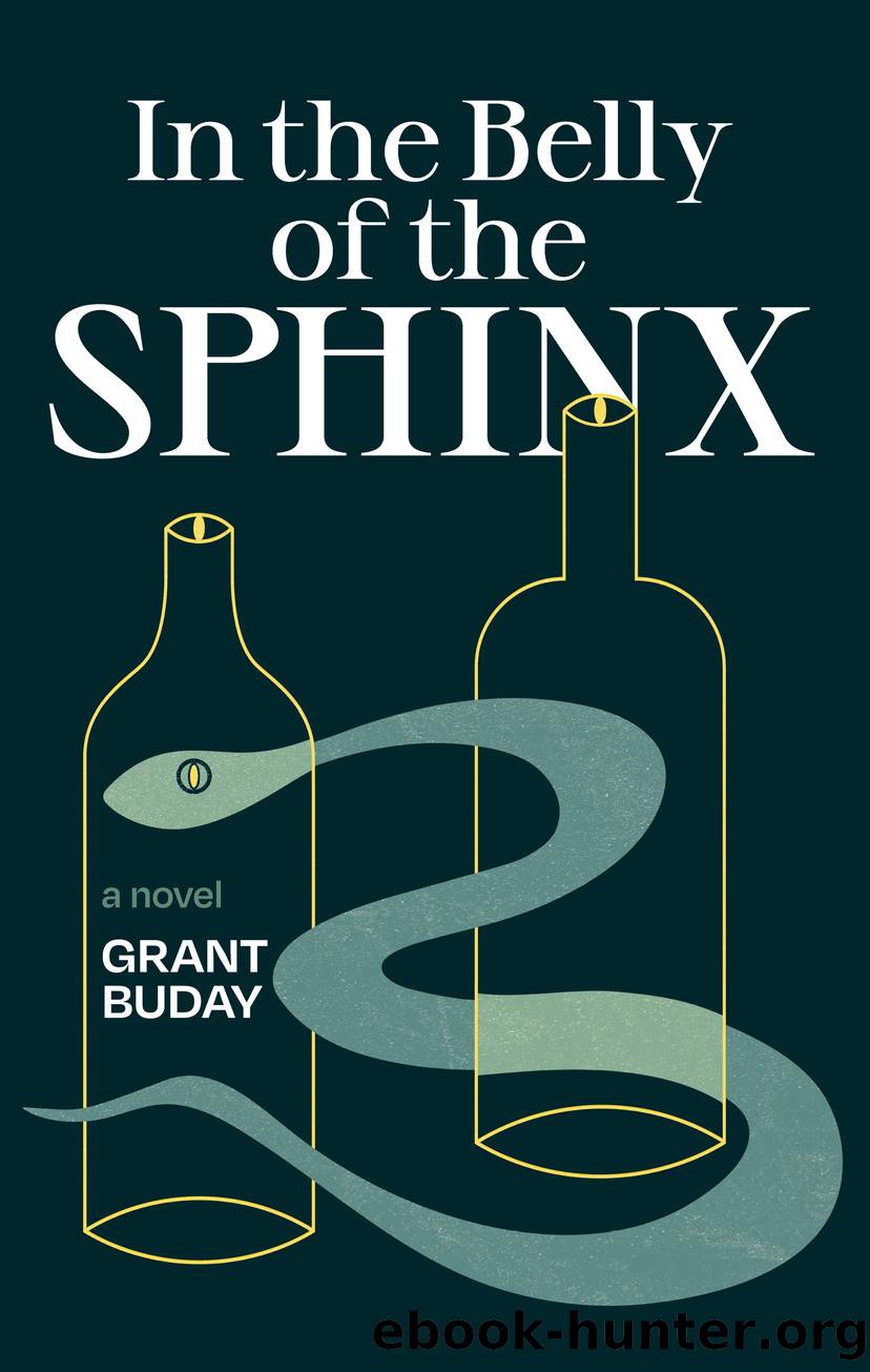 In the Belly of the Sphinx by Grant Buday