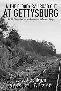 In the Bloody Railroad Cut at Gettysburg by Herdegen Lance J.;Beaudot William J. K.;
