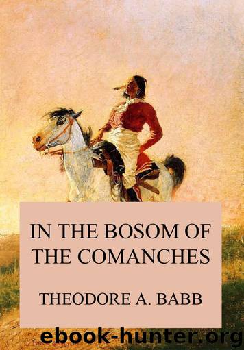 In the Bosom of the Comanches by Theodore Adolphus Babb