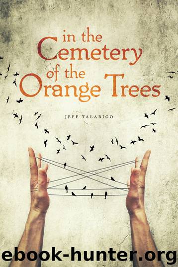 In the Cemetery of the Orange Trees by Jeff Talarigo