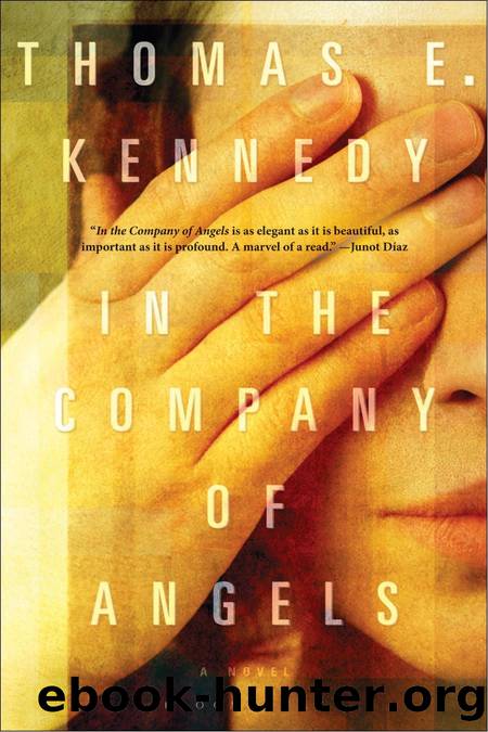 In the Company of Angels by Thomas E. Kennedy