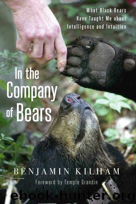 In the Company of Bears by Benjamin Kilham