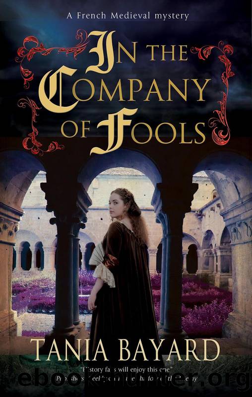 In the Company of Fools by Tania Bayard