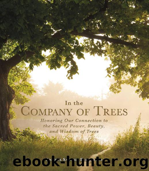 In the Company of Trees by Andrea Sarubbi Fereshteh