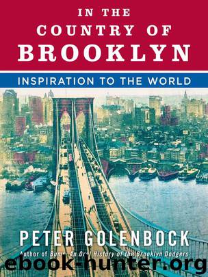 In the Country of Brooklyn by Peter Golenbock