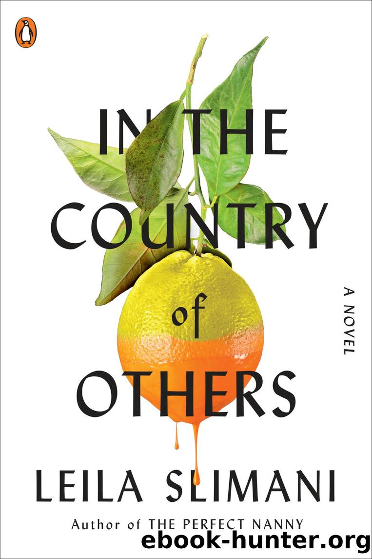 In the Country of Others by Leila Slimani