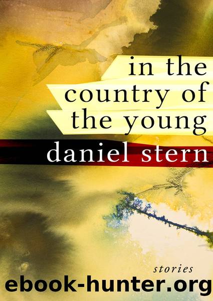 In the Country of the Young by Daniel Stern