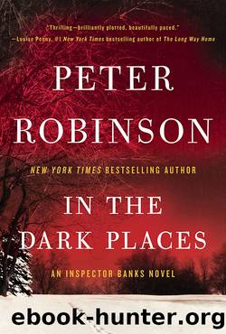 In the Dark Places by Peter Robinson