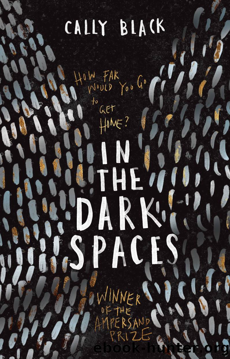 In the Dark Spaces by Cally Black