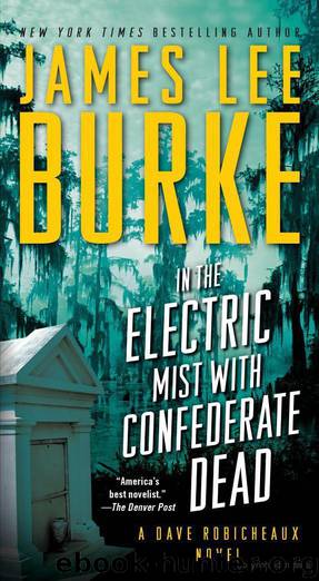 In the Electric Mist With Confederate Dead by Burke James Lee