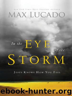In the Eye of the Storm by Max Lucado