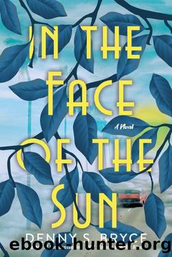 In the Face of the Sun by Denny S. Bryce