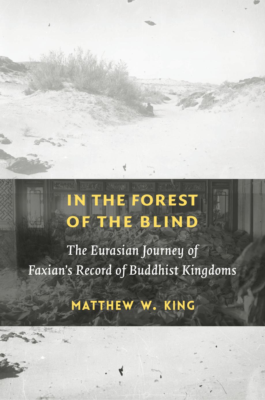 In the Forest of the Blind: The Eurasian Journey of Faxian's Record of Buddhist Kingdoms by Matthew W. King