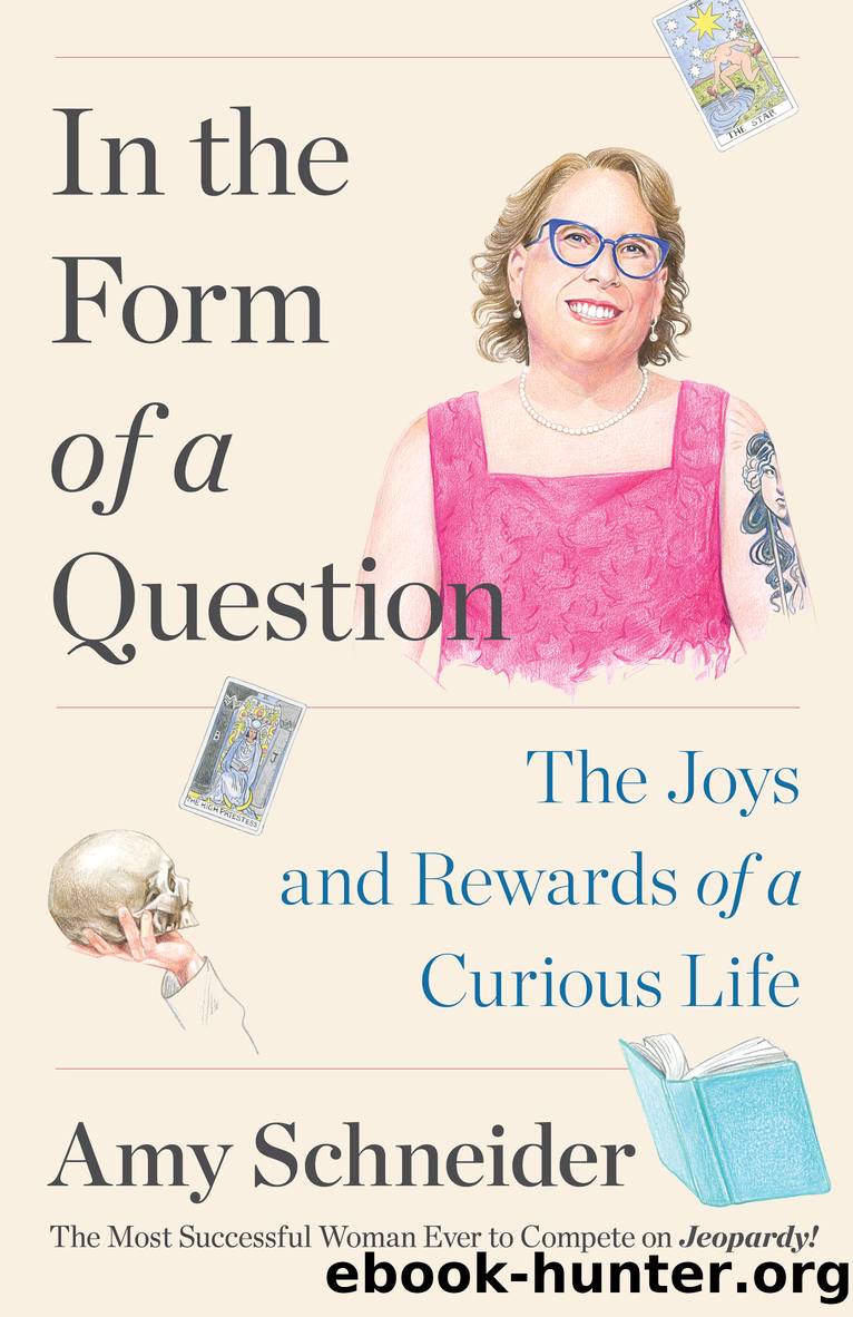 In the Form of a Question by Amy Schneider