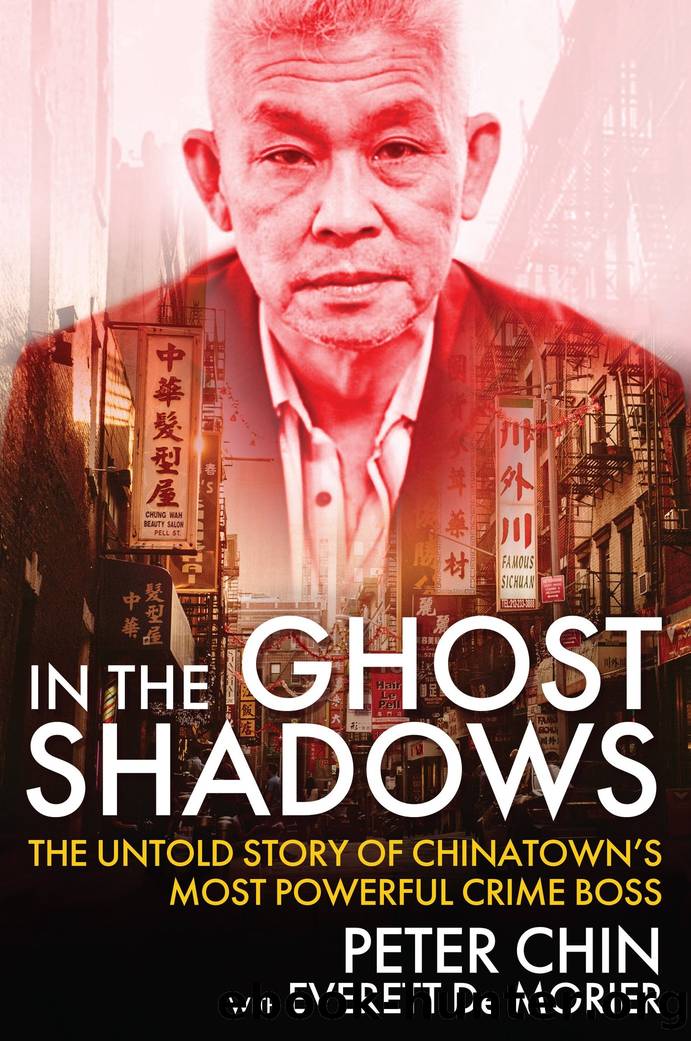 In the Ghost Shadows by Peter Chin