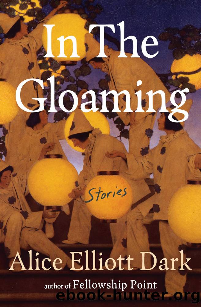 In the Gloaming by Alice Elliott Dark