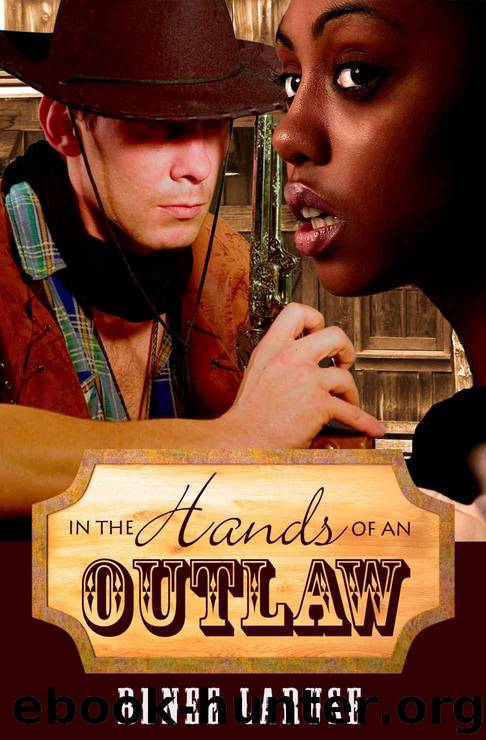 In the Hands of an Outlaw by Renee Laruse