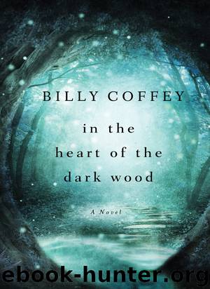 In the Heart of the Dark Wood by Billy Coffey