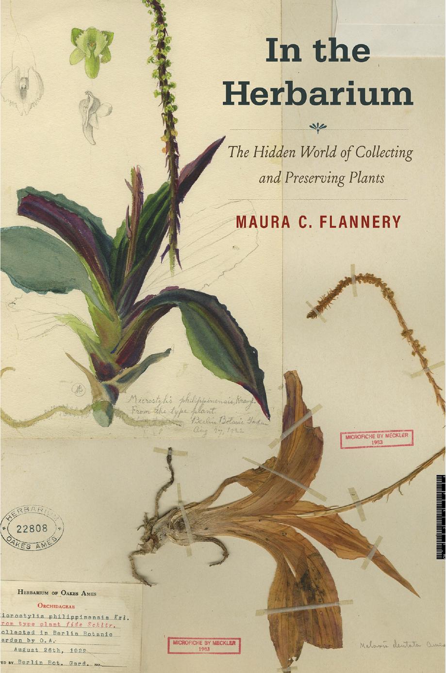 In the Herbarium: The Hidden World of Collecting and Preserving Plants by Maura C. Flannery