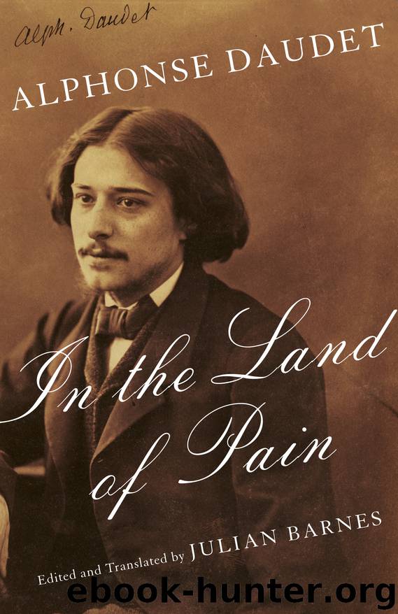 In the Land of Pain by Alphonse Daudet