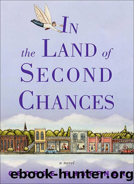 In the Land of Second Chances by George Shaffner