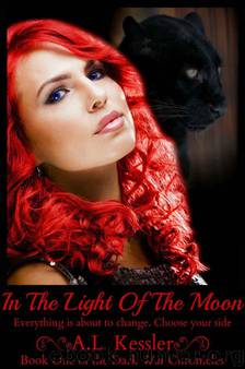 In the Light of the Moon (Dark War Chronicles) by Kessler A.L