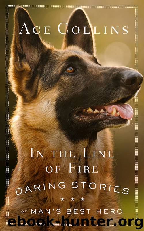 In the Line of Fire by Collins Ace;