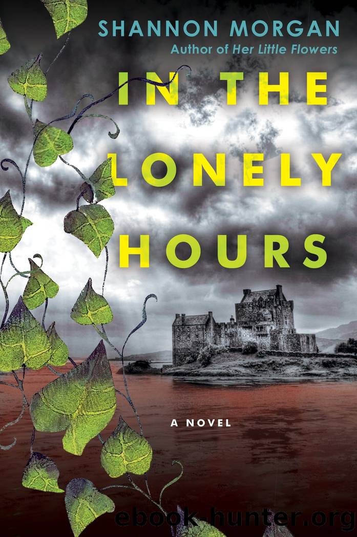 In the Lonely Hours by Shannon Morgan