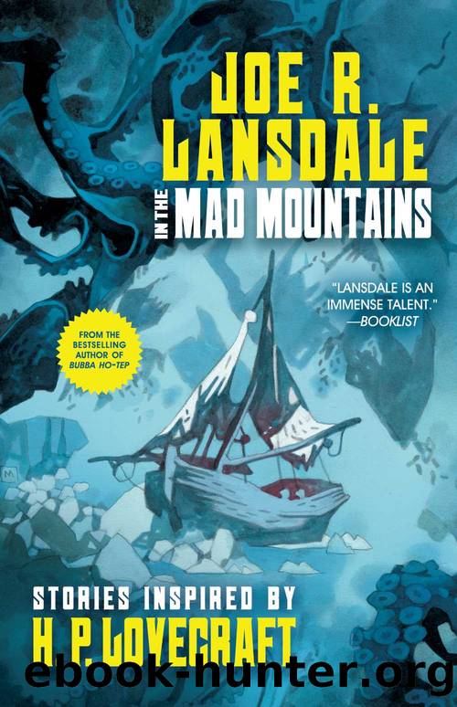 In the Mad Mountains by Joe Lansdale